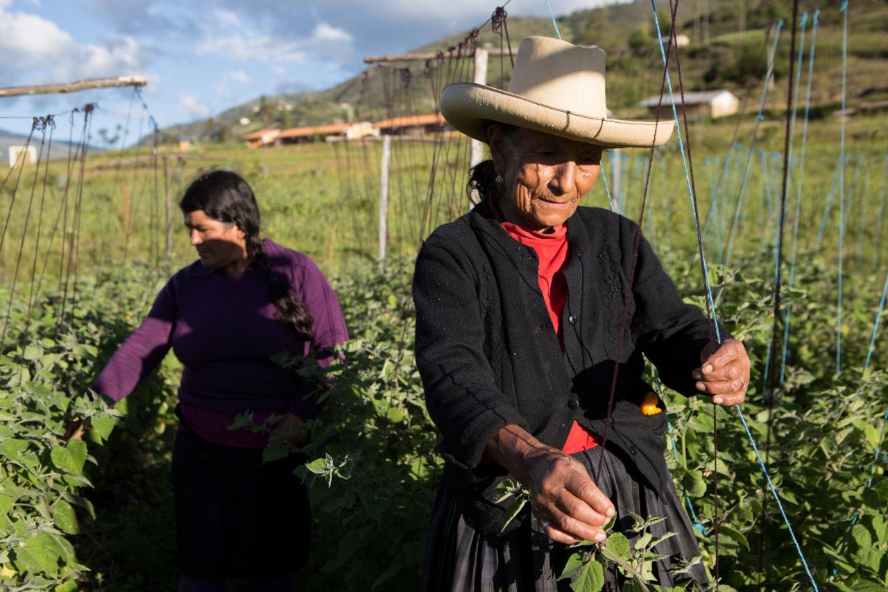 mujeres rurales