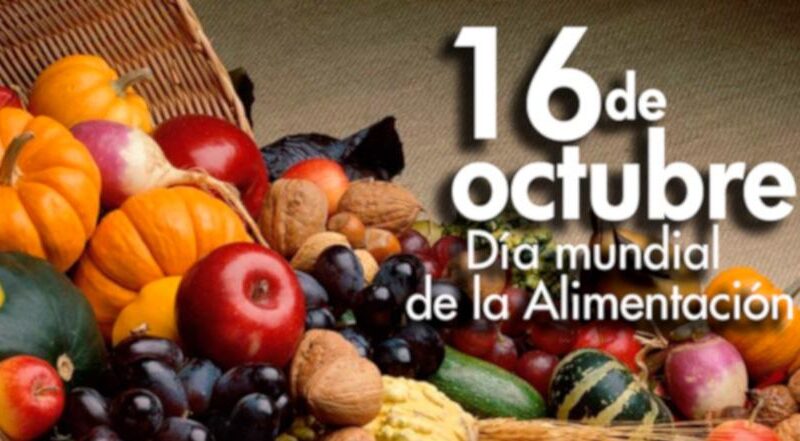 Día Mundial de la Alimentación: ¿Por qué se celebra en este día?