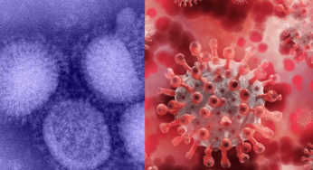 ¿Puedes enfermar de COVID-19 e influenza al mismo tiempo?