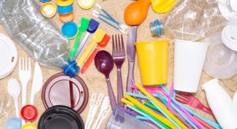 Plásticos de un solo uso serán prohibidos en la CDMX desde el 1 de enero 2021