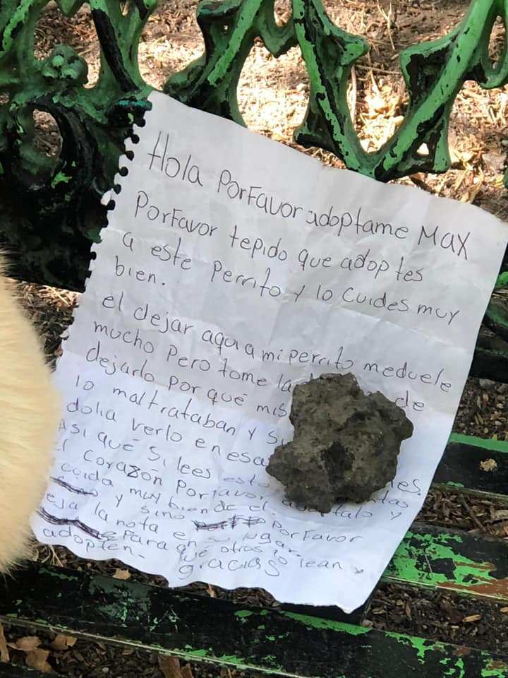 Abandonan a perrito en una banca y con emotiva nota