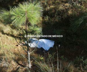 TRAGEDIA: Se mató al perder el control del auto, se estrelló contra un árbol 