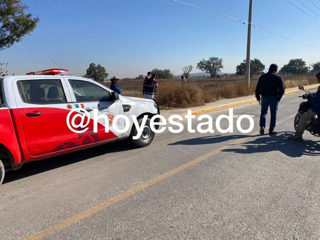 Video: Arman búsqueda de cuatro supuestos leones que escaparon en Zumpango