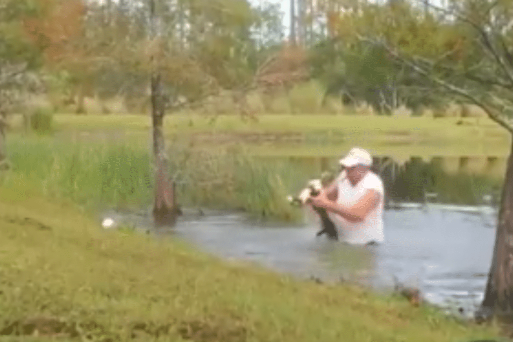 Abuelito de 74 años lucha contra caimán para salvar a su cachorro (+video)