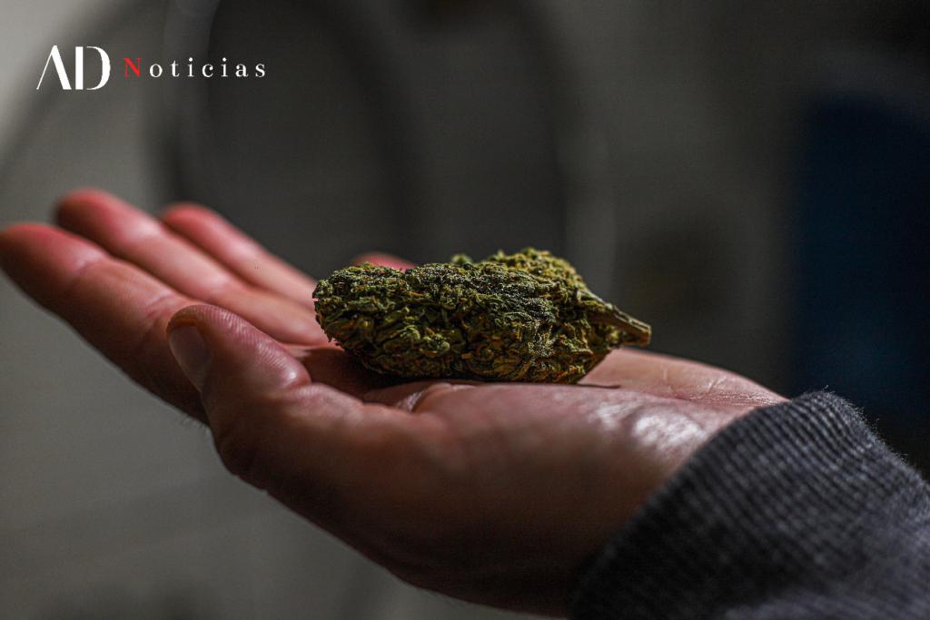 Cuando la marihuana se convirtió en un acto de libertad