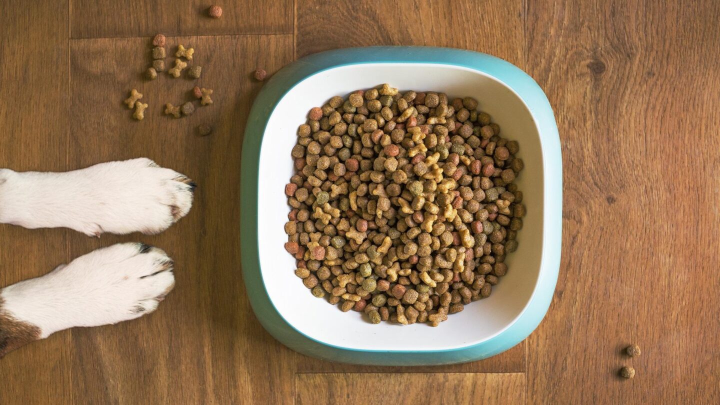 Comida para perro