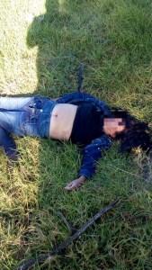 DEVASTADOR: Atropellan brutalmente a mujer en la México-Cuautla, perdió la vida al instante