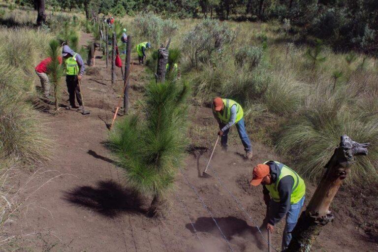 INICIAN BRIGADAS FORESTALES DE TOLUCA TAREAS DE PREVENCIÓN DE INCENDIOS