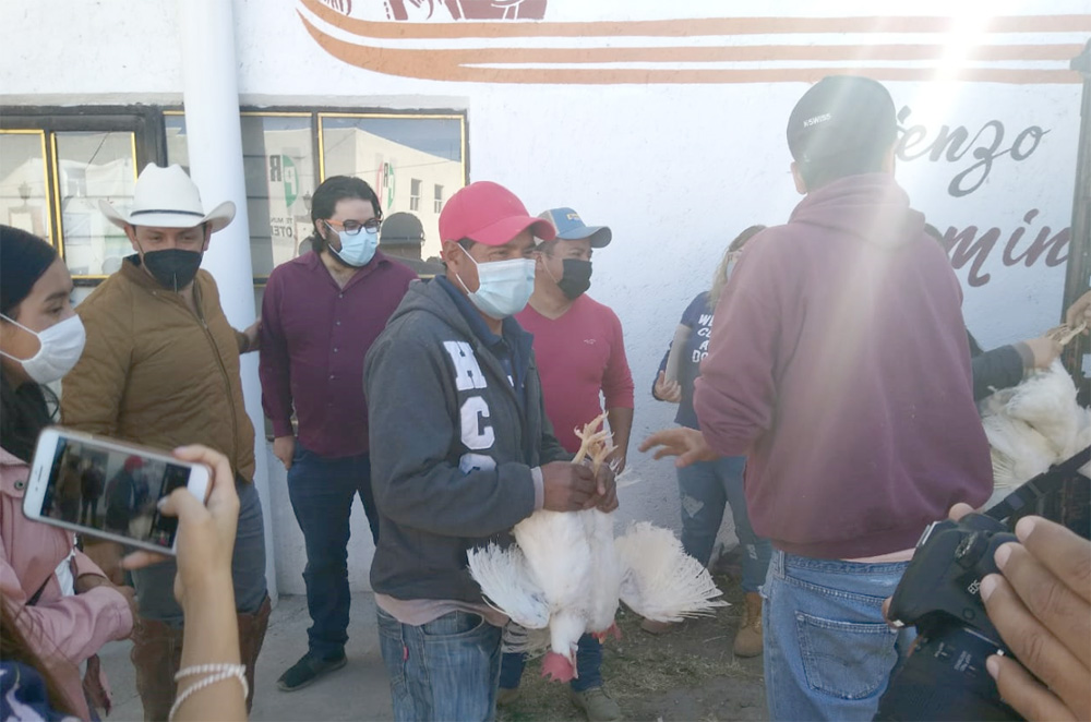 Con aves de postura Antorcha y gobierno local de Jilotepec benefician a cuatrocientas familias