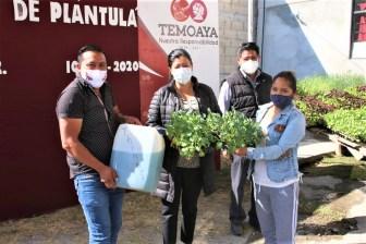 Encabeza Nelly Rivera puesta en marcha de segunda etapa de Huertos Familiares