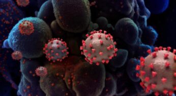 Reino Unido encuentra otra cepa de coronavirus que tiene mayor facilidad de transmisión