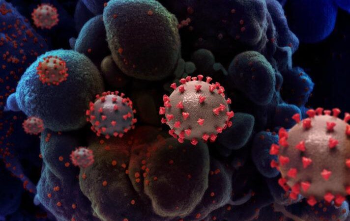 Reino Unido encuentra otra cepa de coronavirus que tiene mayor facilidad de transmisión