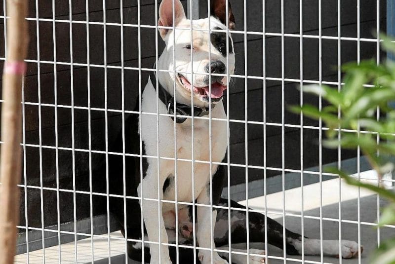 Diseño-sin-título-12-3