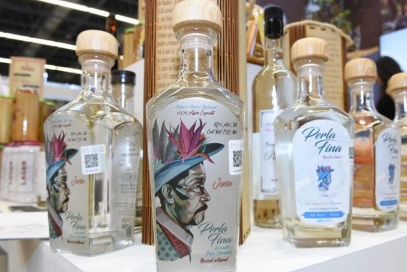 Diseño-sin-título-13-2