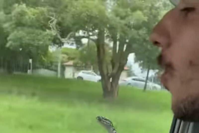 Diseño-sin-título-4-2