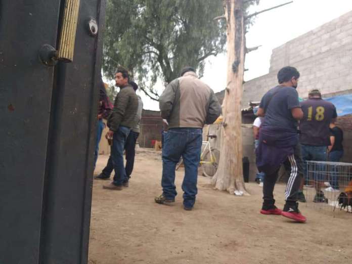 Evento-de-gallos-es-suspendido-en-Tecámac-con-80-asistentes-2