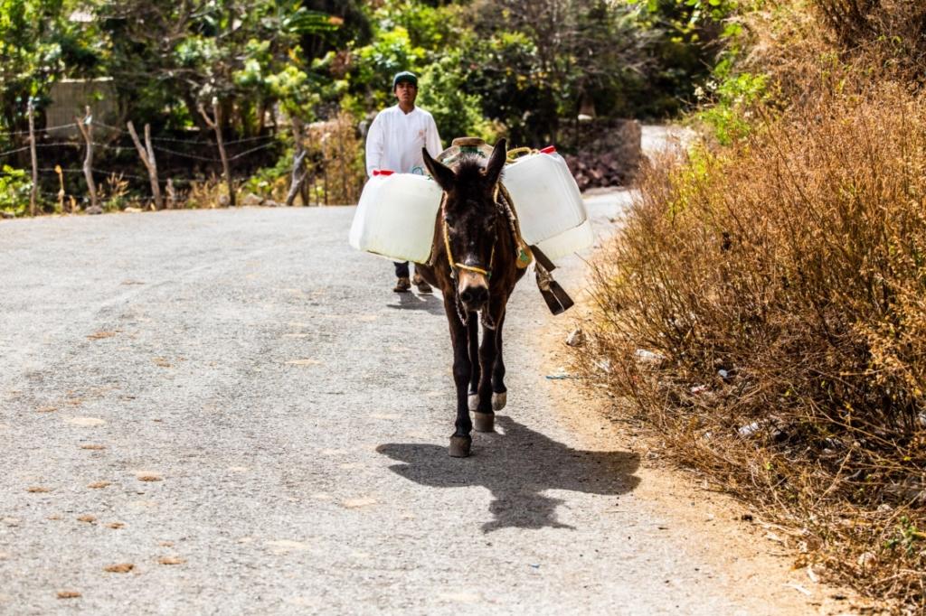 San José Chalmita, la comunidad marginada a la que la CFE le quitó el agua (parte 2)