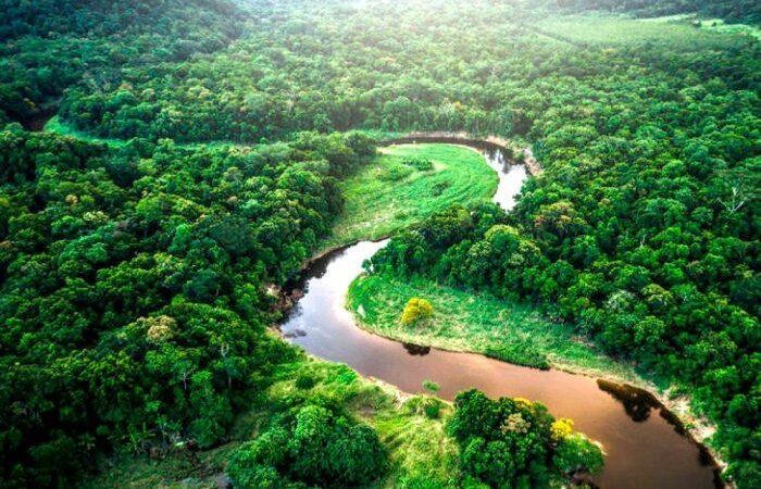 Hay nueva cepa y es de nuestro continente; Brasil la confirma en el Amazonas