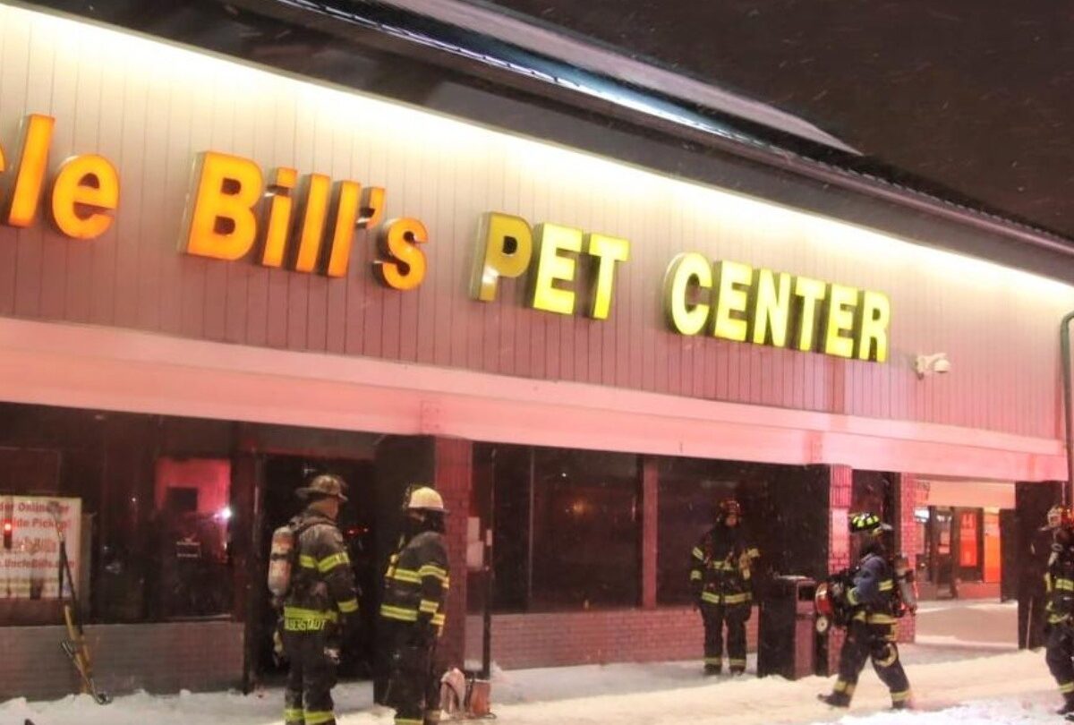 100 animales mueren en un incendio en una tienda de mascotas |