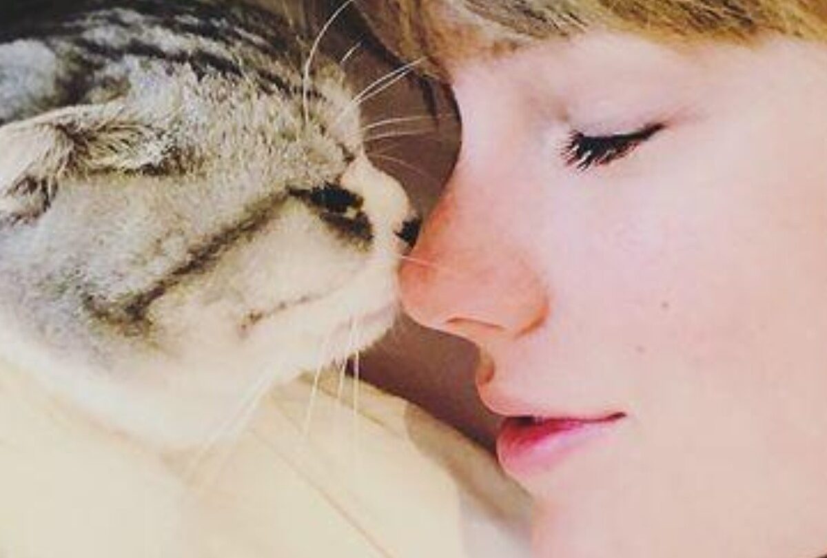 Taylor Swift y sus famosos gatitos Meredith Benjamin y Olivia |