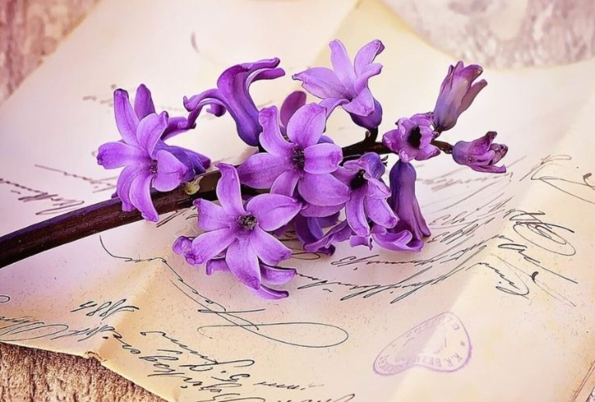 5 Tips para escribir una carta a su esposo y salvar su matrimonio |