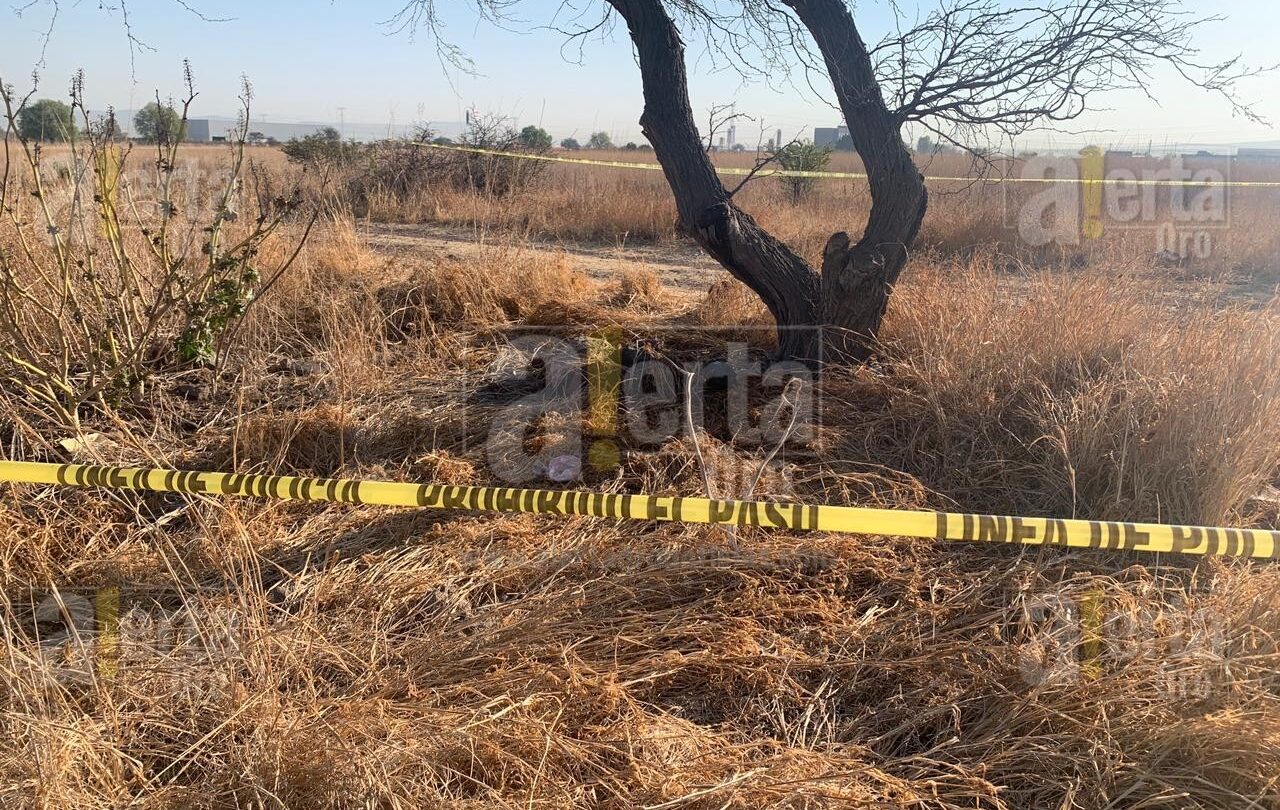 Encuentran feto junto a camino de terracería en Corregidora |