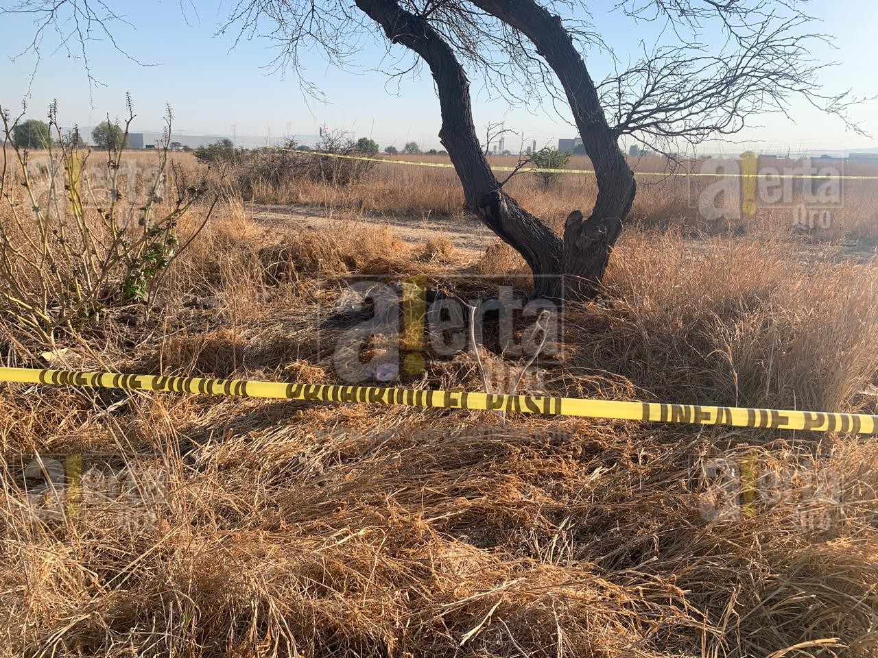 Encuentran feto junto a camino de terracería en Corregidora