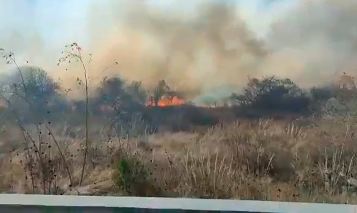 #Morelia Se Incendia Terreno Baldío Al Lado De Instalaciones Del C5I Michoacán