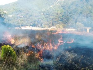 Incendio por quema arrasa con una hectárea de matorrales