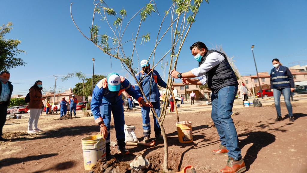 Se llevó a cabo una jornada de reforestación en el parque Choles de Cerrito Colorado