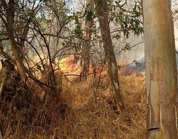 Sofoca Protección Civil Naucalpan incendio en Presa Tenantongo