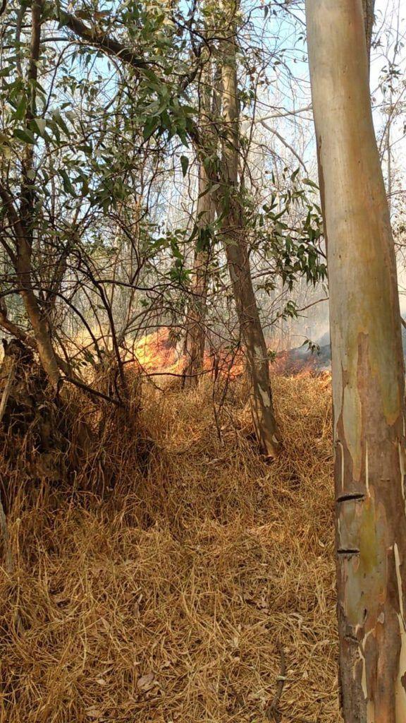 Sofoca Protección Civil Naucalpan incendio en Presa Tenantongo