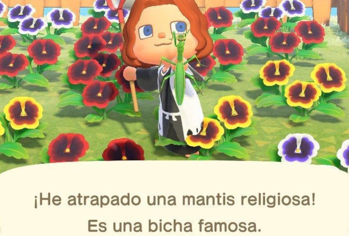 Animal Crossing New Horizons Bichos disponibles en marzo 2021 |