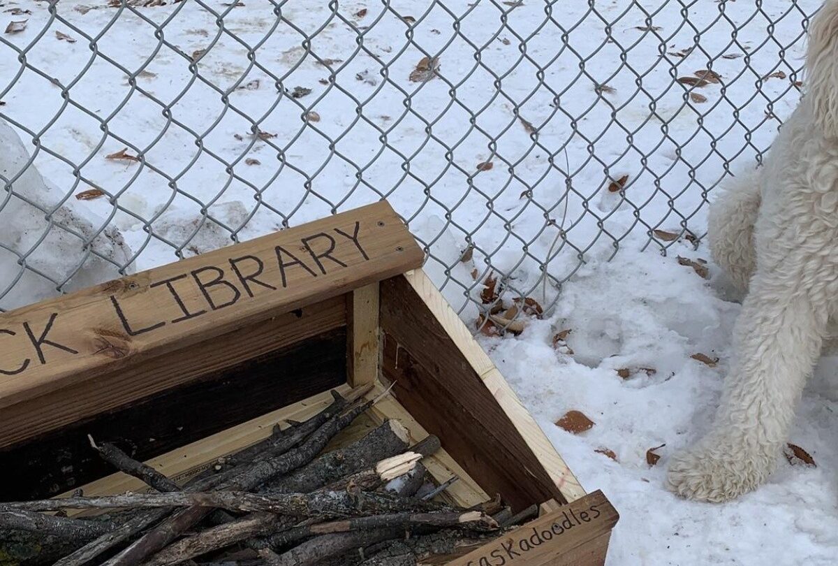 Construyen biblioteca de palos de madera para perros en Canadá |