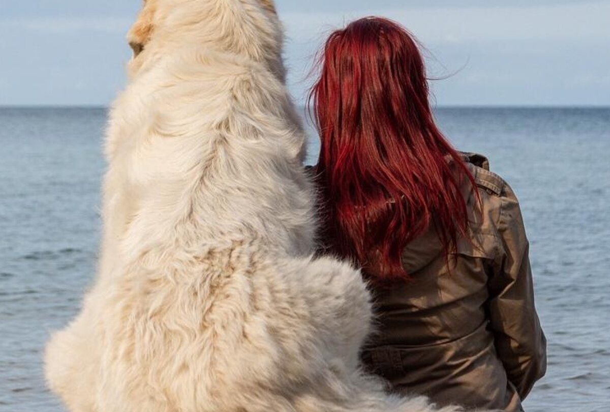 Cuánto tiempo puede recordar un perro a su amo según los expertos |