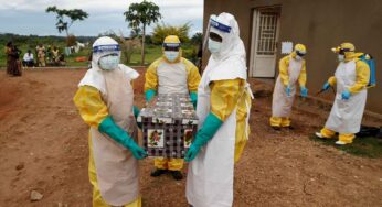 OMS declara alerta por alto riesgo en África por ébola