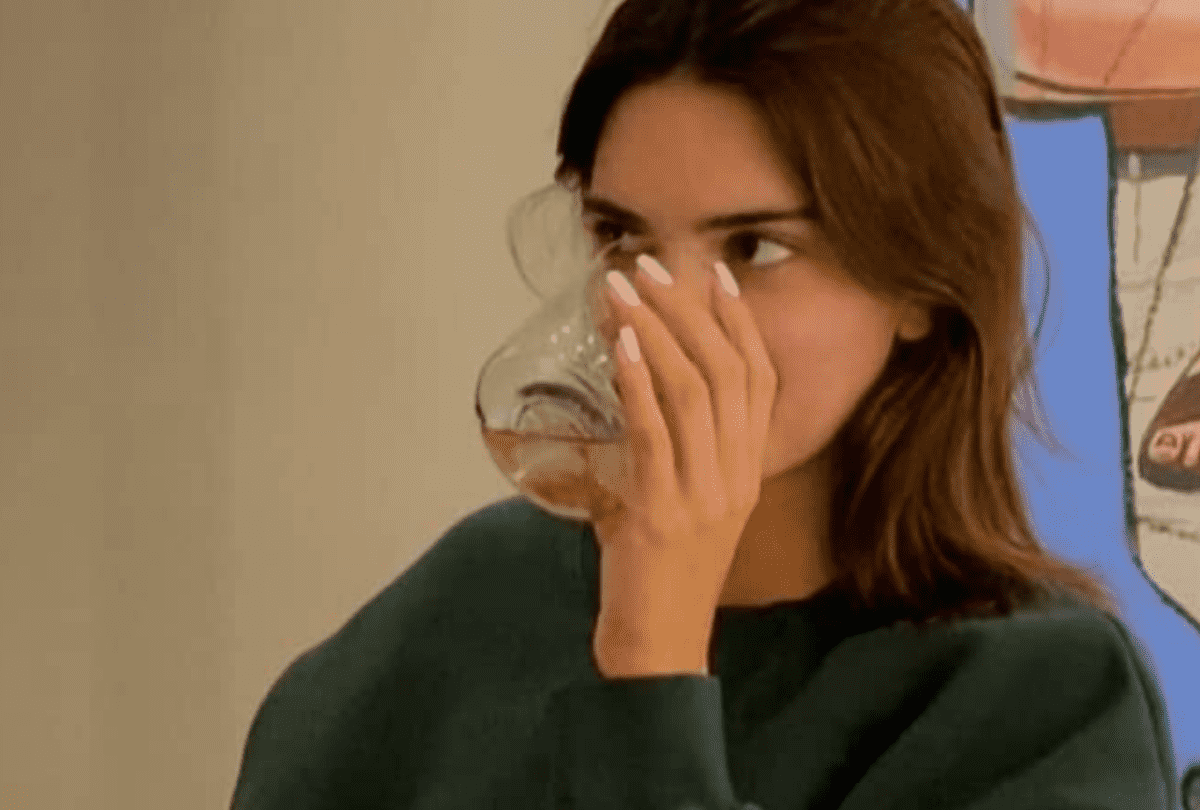 Kendall Jenner hermana de Kylie lanza tequila multipremiado |