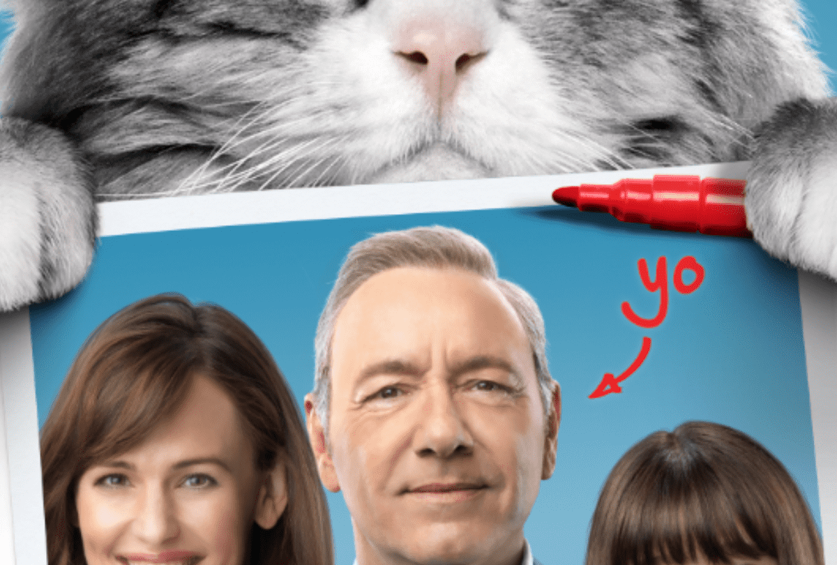 Mi papá es un gato y 5 películas más de gatitos en Netflix |