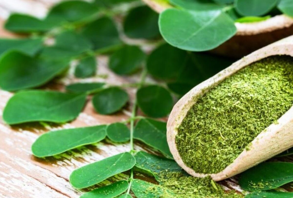 Cuáles son los beneficios de la moringa y cómo se toma |