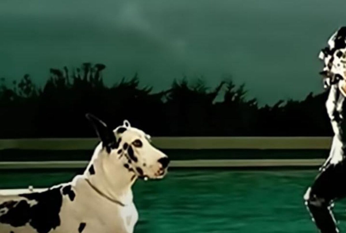 Qué raza son los perros que aparecen en el video Poker Face de Lady Gaga |