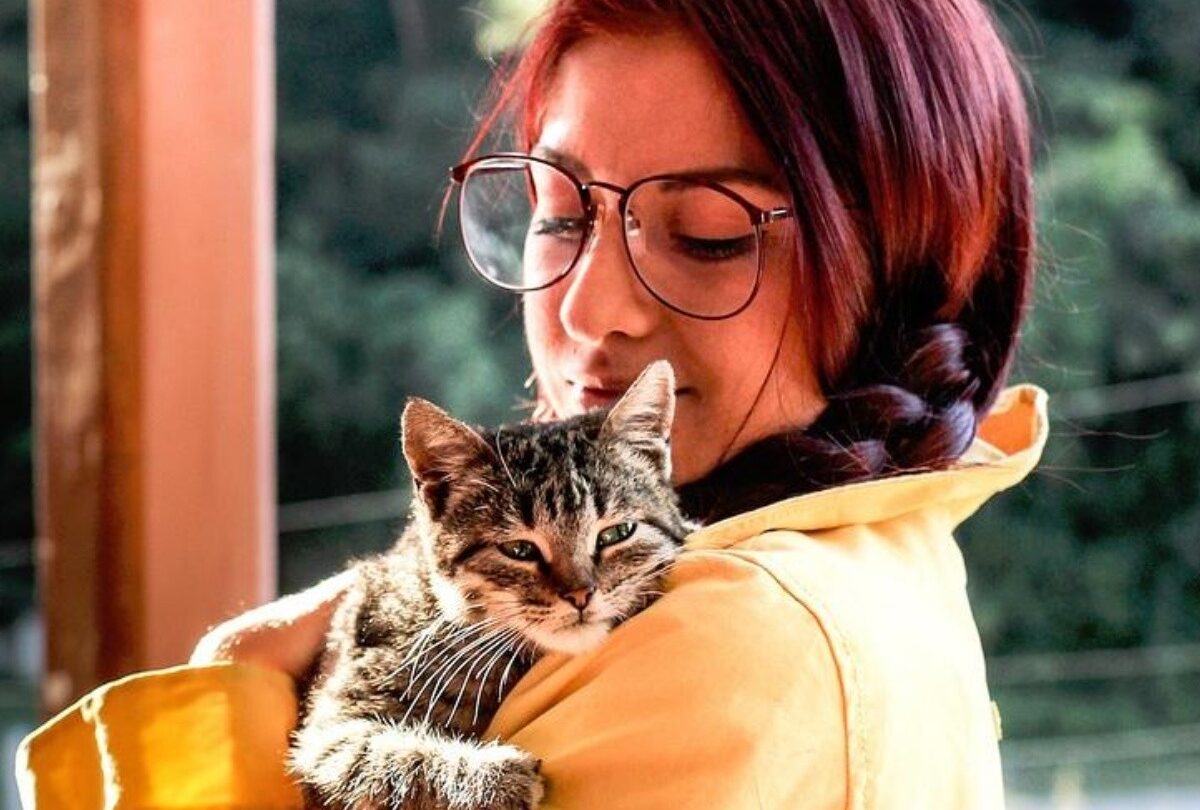 7 signos que indican que un gato es la mascota indicada para ti |
