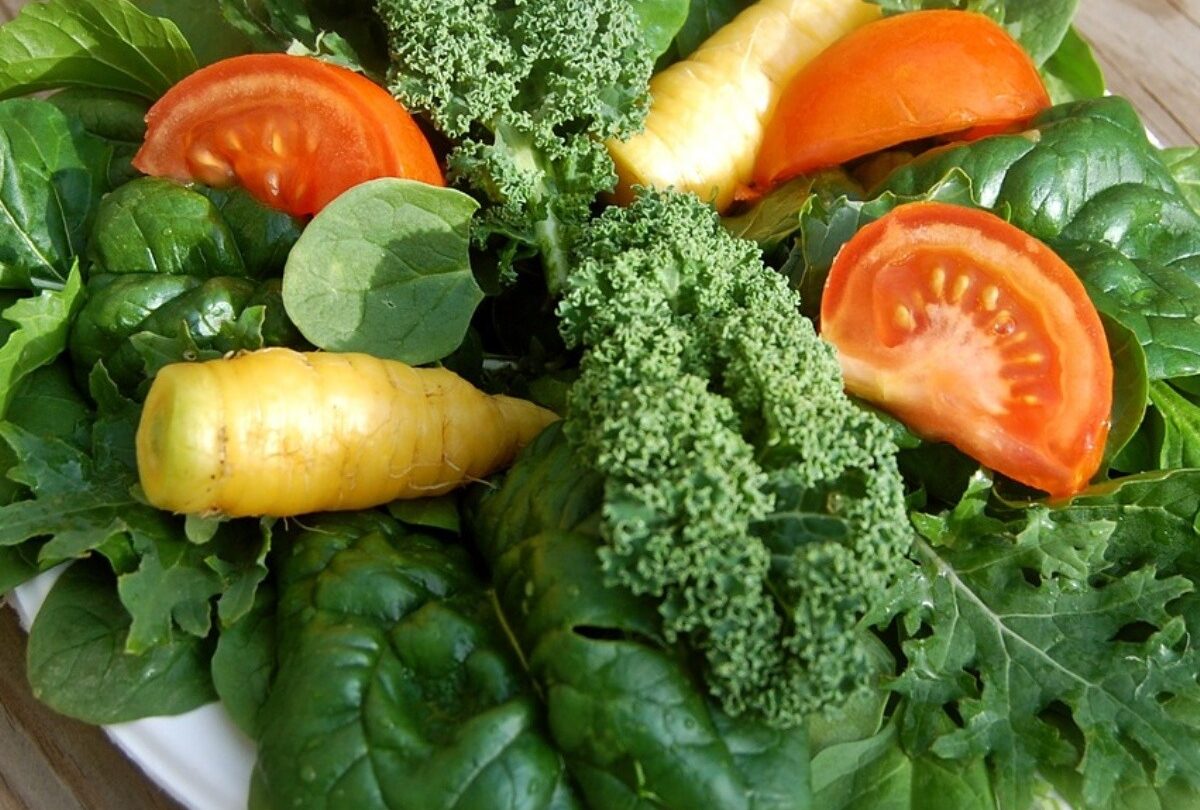 Qué aportan al cuerpo las hortalizas de hoja verde |