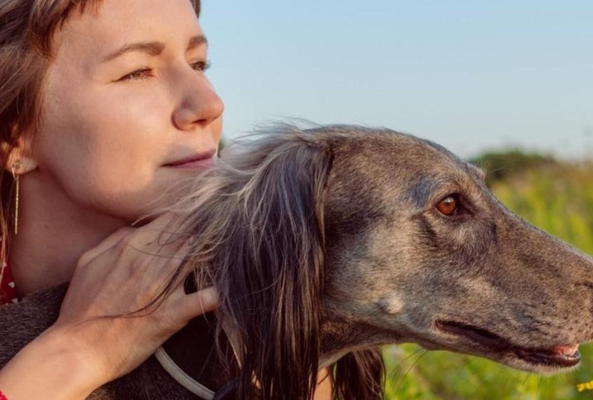 Las 10 razas de perros más tranquilos perfectos para el hogar |