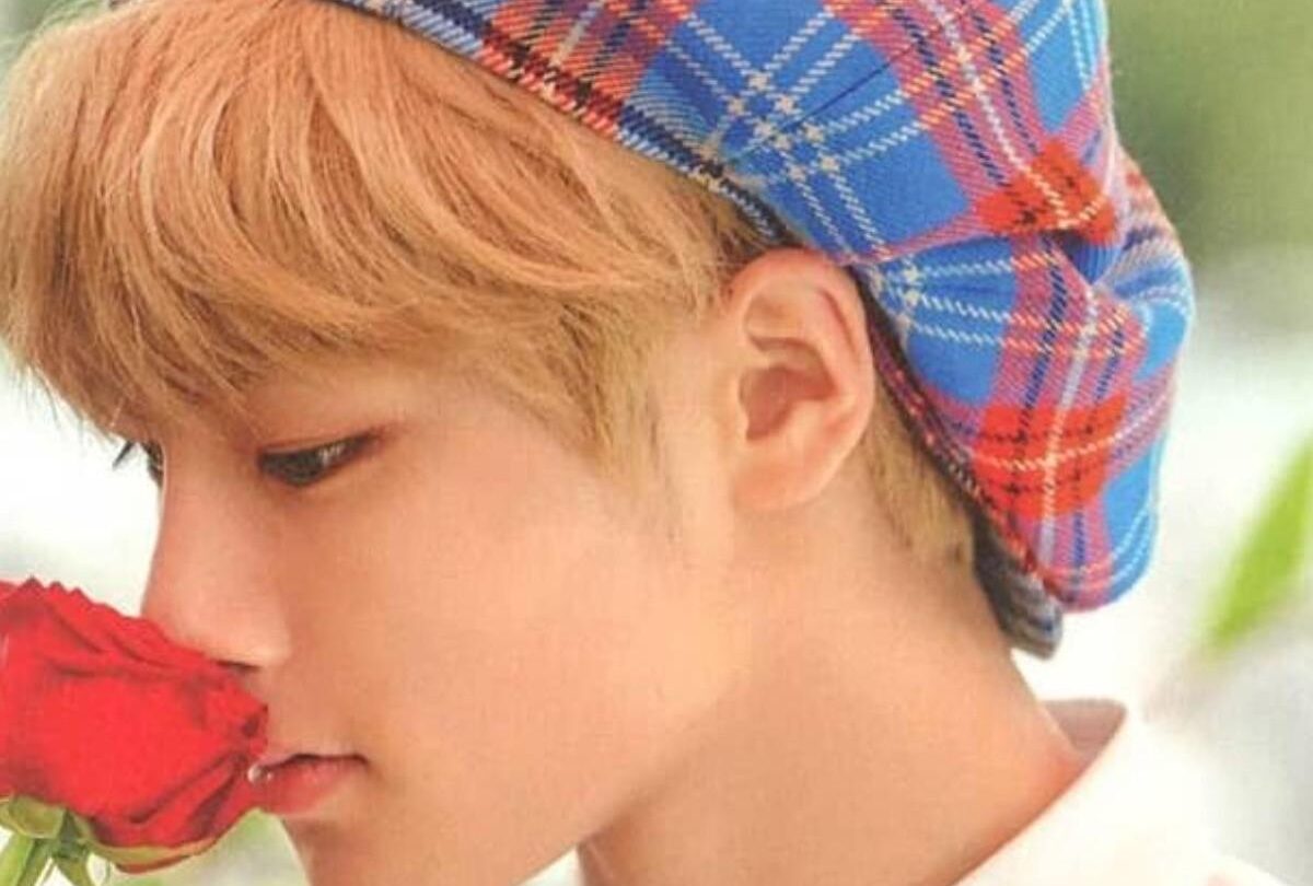 IN de Stray Kids se gradúa como estudiante modelo de SOPA |