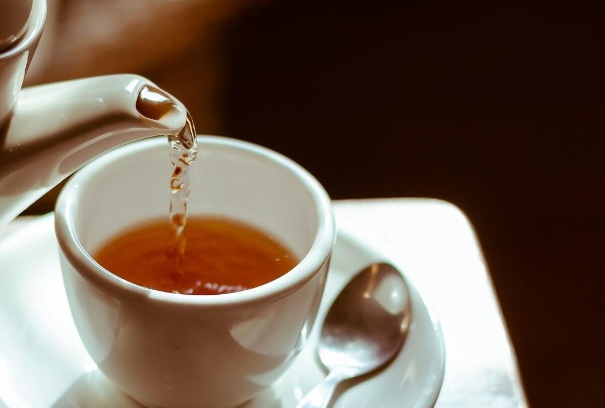 Receta de té de boldo para qué sirve y sus contraindicaciones |