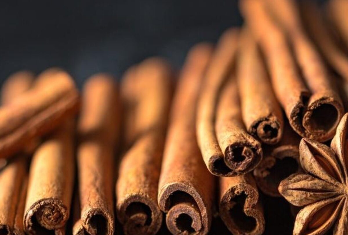 Té de canela cómo prepararlo fácil y para qué sirve |