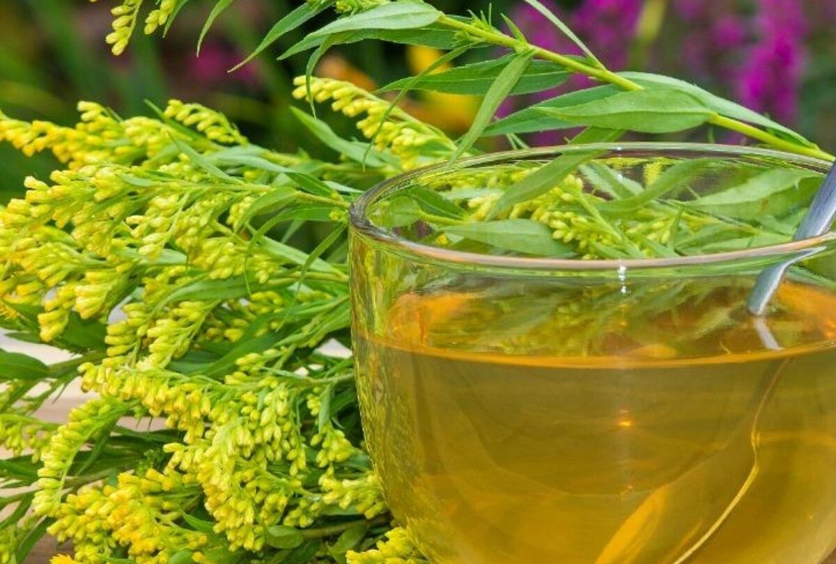 Receta de té de ruda para bajar la regla y evitar los cólicos |