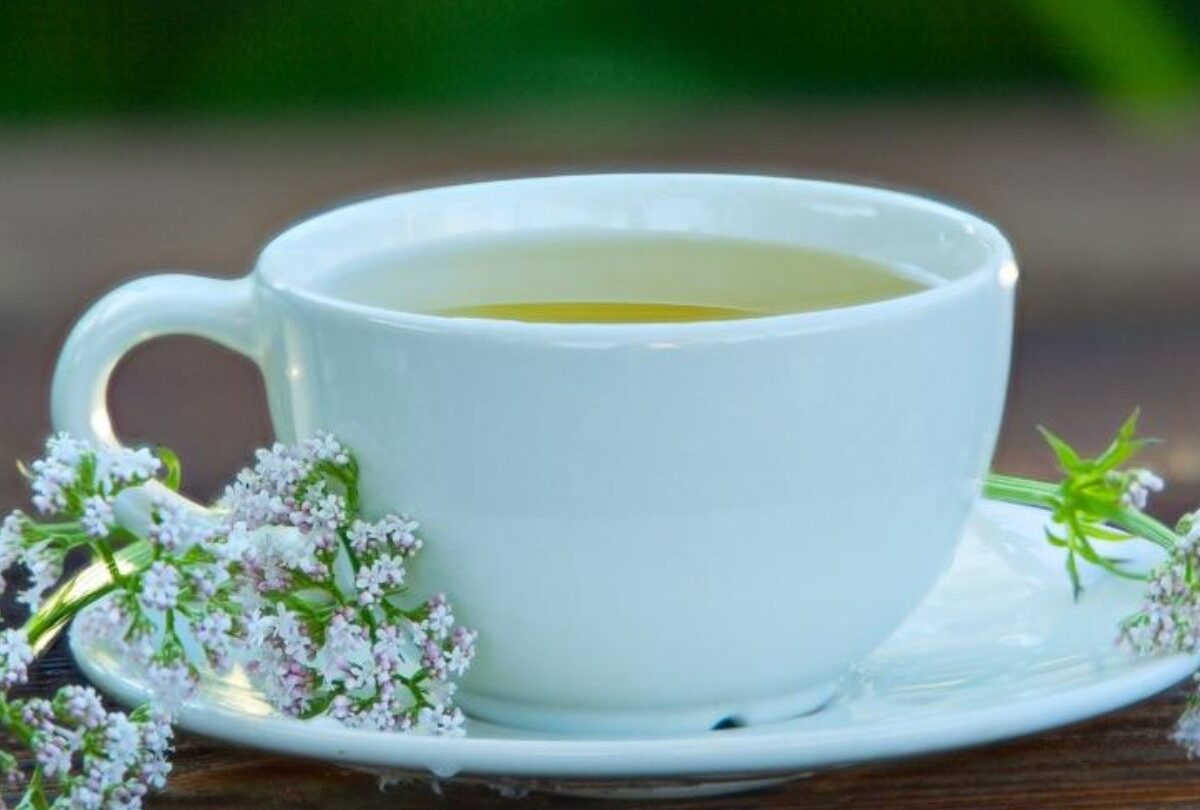 Té de valeriana para qué sirve y cómo se prepara |