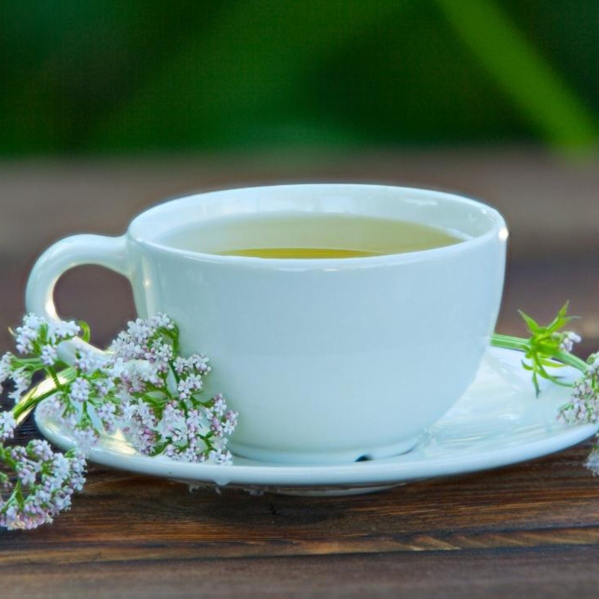 Té de valeriana, para qué sirve y cómo se prepara