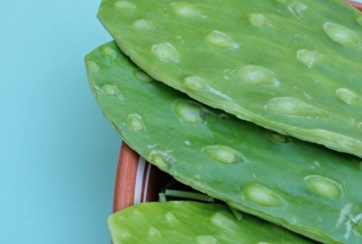 Cómo cocinar nopales sin baba 3 formas sencillas de hacerlo |